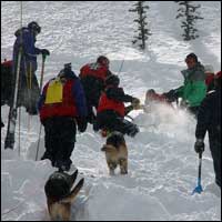 Brighton Avalanche Rescue